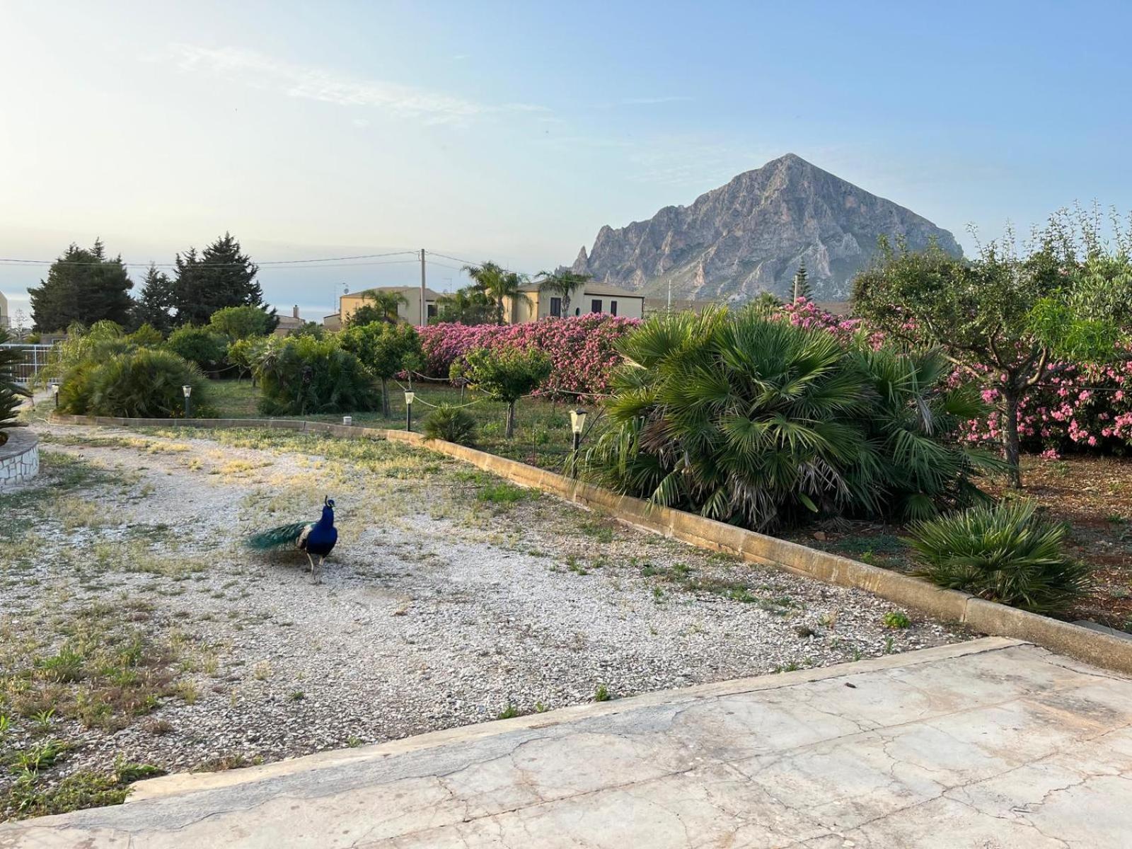 Villa Lea Custonaci Exterior foto